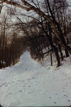 Looking up old beach road in winter
